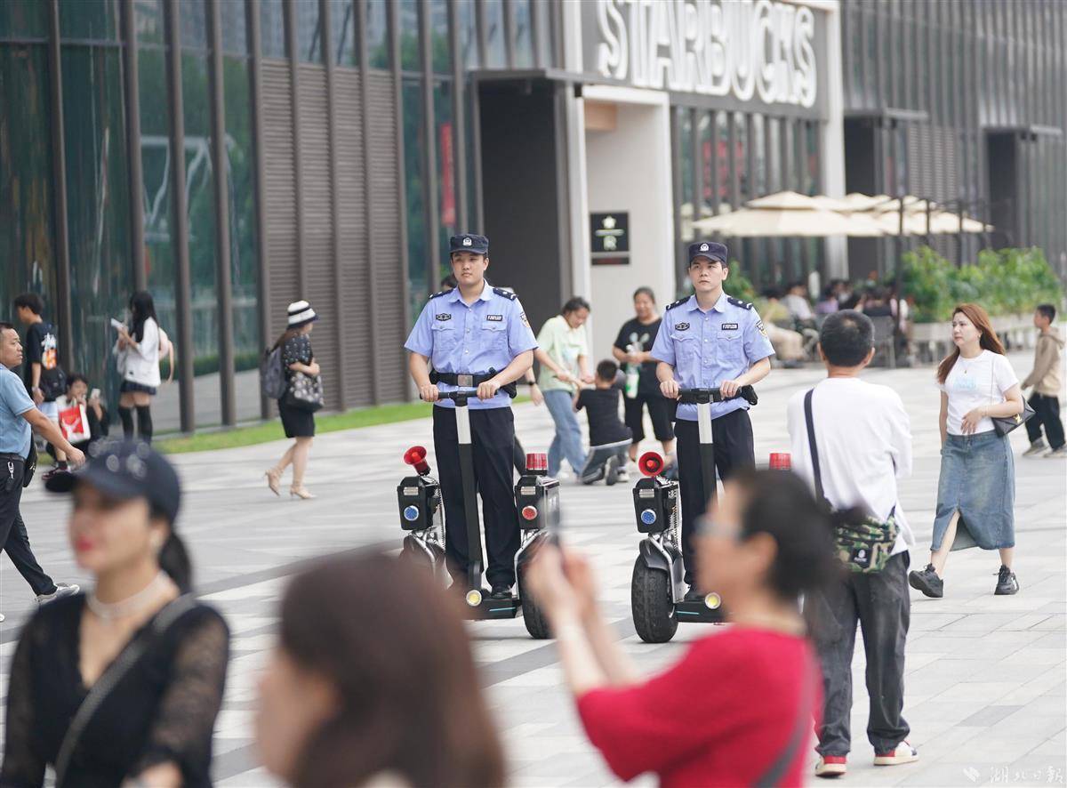 玩飞禽走兽